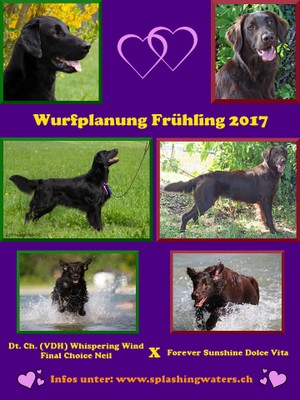 Wurfplanung R-Wurf