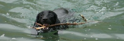 img11.jpg