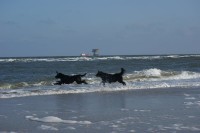 der letzte Spaziergang am Strand ...