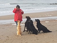 Hundedompteuse am Strand