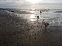 Abendstimmung am Strand