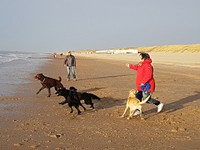 Frisbee-Session am Strand