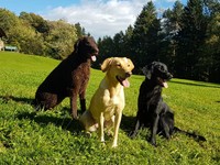 3 Freundinnen auf der Alp