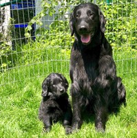 Papa Duncan mit Tochter Skye