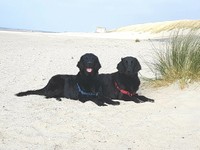 Jaymee + Kaylah liegend am Strand