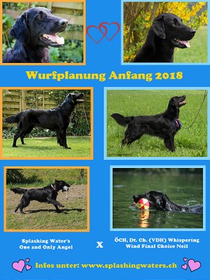 Wurfplanung 2018