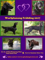 Wurfplanung R-Wurf