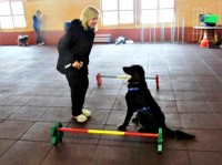 Jeannie mit Gabi im Training