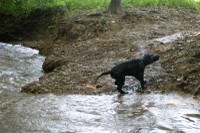 uuh, das Wasser in den Ohren muss raus!