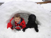 Nico und Fargo im Igloo