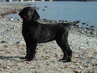 Ascona am Strand