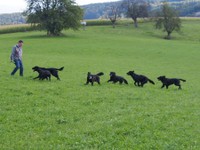 ab auf die Wiese zum spielen