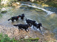 die Q's beim Baden!