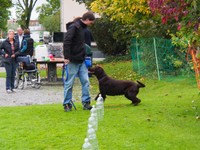 Georg läuft den Parcours mit Vita ...