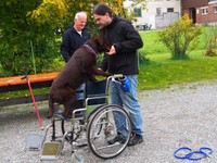 Georg mit Vita im Rollstuhl!