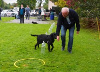 Harald versucht's auch mit der Rajka