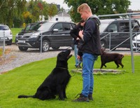 Jerome + Neil sind ein super Team!