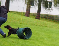 Ruby flitzt noch schnell durch's Tunnel