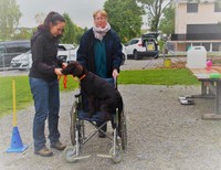 Ruby sitzt im Rollstuhl