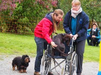 Tobias und Railey haben noch Unterstützung von Arielle