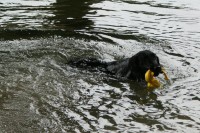 yupee, schwimmen darf ich auch noch!