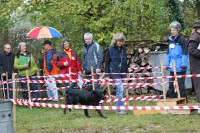 das schaffen wir mit links!