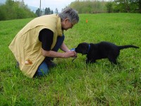 Heidi und Harry