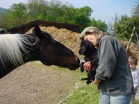 Cliff mit Pferd