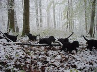 Der erste Schnee