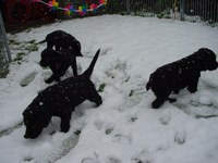 15. April 2001 Ostern im Schnee