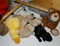 ... habt ihr uns gefunden?