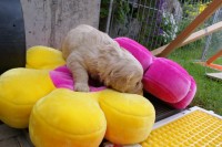 ... da kann man sich verstecken!