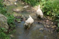 endlich kommt Rhiana auch mit ins Wasser!