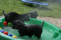 ... fast wie unter der Dusche!