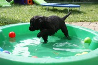 kneipen? - ich übe mal für's Wasserballet!