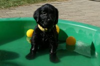 ... setzte sie sich voll in Pose!