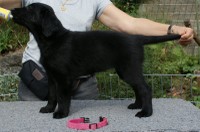 Ella
