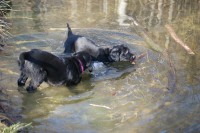 heute ist Badewetter!