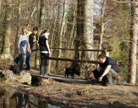 Spaziergang am Weiher