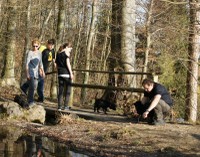 Spaziergang am Weiher