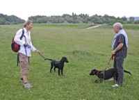 Eveline + Saphira mit Marcel + Billy