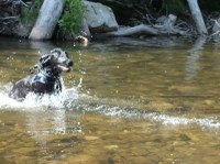 Splashing Water's ... - oder wie heiss ich schon wieder?