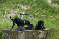 zu dritt im Brunnen!