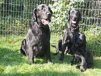 3 - Generationen -Fotoshooting