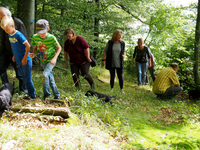 unterwegs im Wald - Welpen suchen!