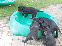 ... sind die ersten schon im Pool