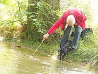 Werner versucht uns ins Wasser zu locken!