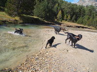 und alle freuen sich in der freien Natur!