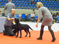 René mit Pongo im Ring