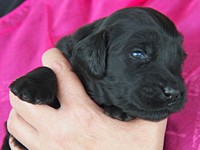 Miss Blueberry - endlich öffnen sich die Augen!